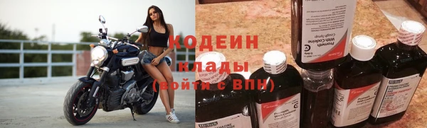 ГАЛЛЮЦИНОГЕННЫЕ ГРИБЫ Кукмор