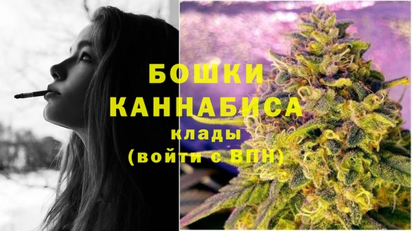 гидра Лагань
