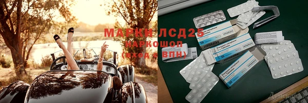 крисы Лабытнанги