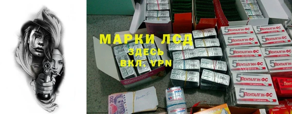 сатива Губаха
