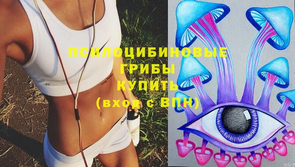 гидра Лагань