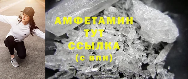 гидра Лагань
