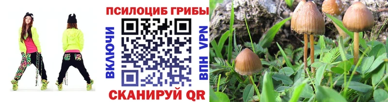что такое   Лагань  Галлюциногенные грибы мухоморы 